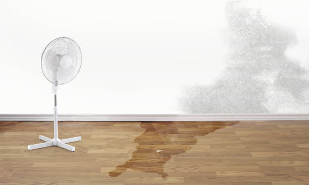 Best Water damage restoration insurance claims  in Matoaca, VA