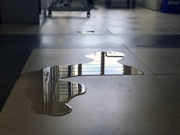 Best 24-hour water damage restoration  in Matoaca, VA